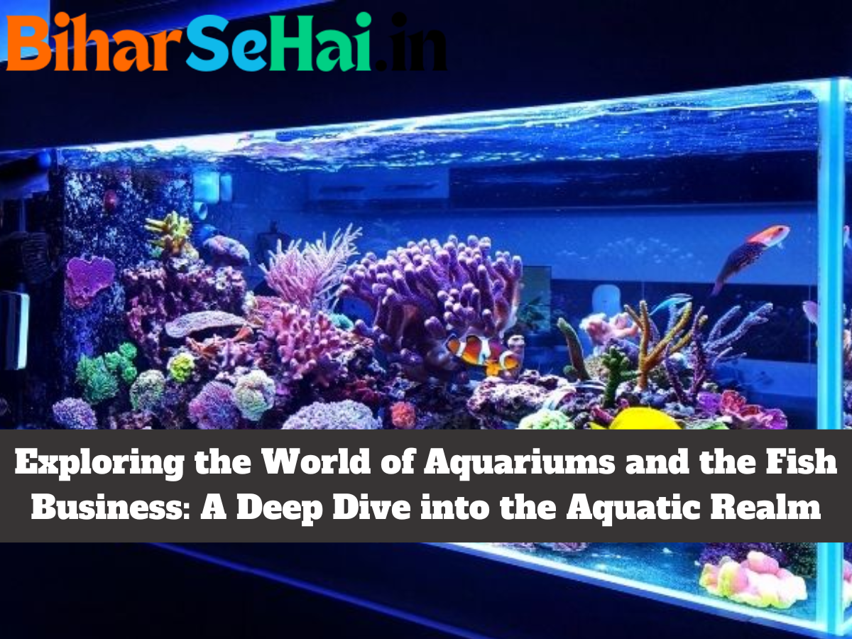 Exploring-the-World-of-Aquariums-and-the-Fish-Business-A-Deep-Dive-into-the-Aquatic-Realm.