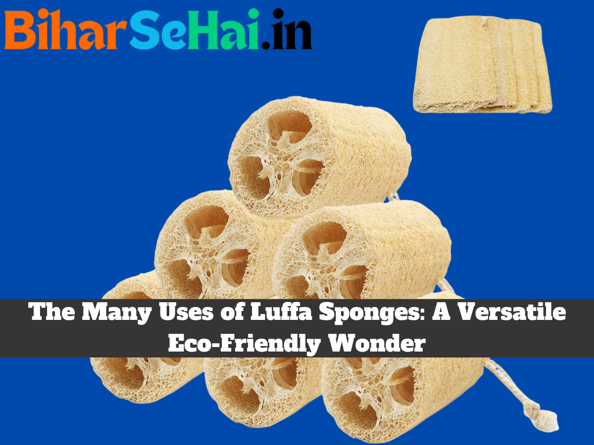 The Many Uses of Luffa Sponges