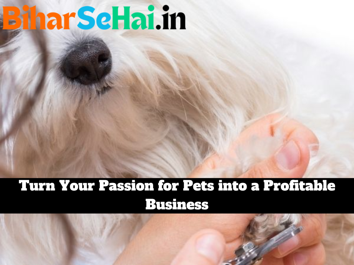Turn Your Passion for Pets into a Profitable Business